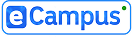 E CAMPUS E LEARNING